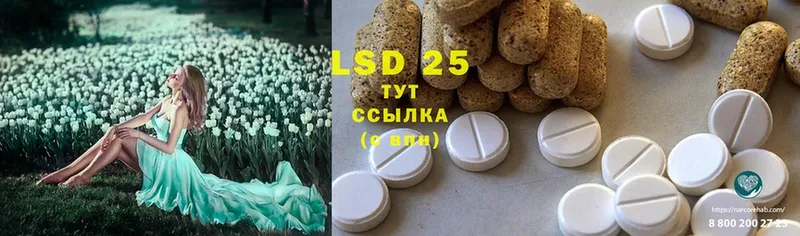 дарнет шоп  omg маркетплейс  Лсд 25 экстази ecstasy  Новочебоксарск 